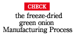 CHECK Ffreeze-dried green onion manufacturing process