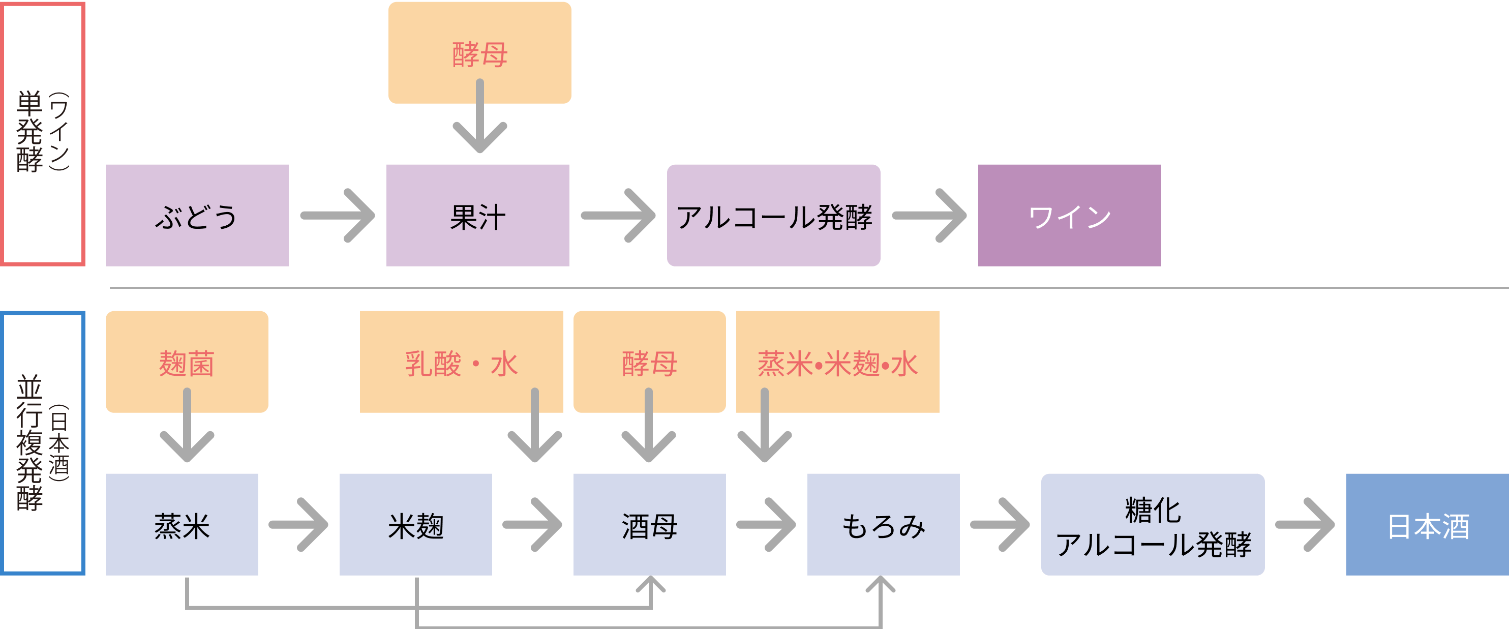 図8. 単発酵と並行複発酵