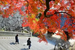 御袖天満宮 元日