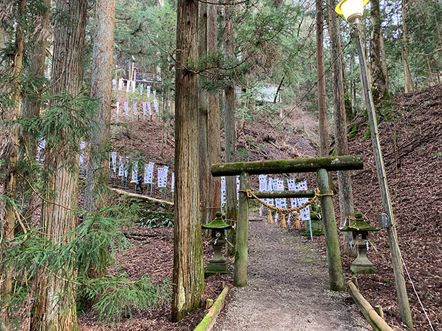 荒神社　甘酒祭り　苔生した木々に囲まれ小高い丘の上にある