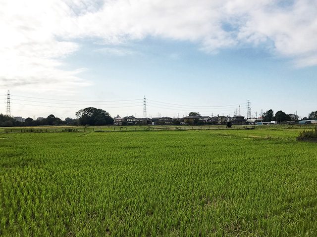 西粂原鷲宮神社 甘酒祭