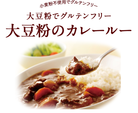 大豆粉のカレールー