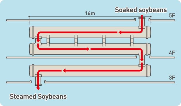 Schematic Diagram of the Continuous Steamer