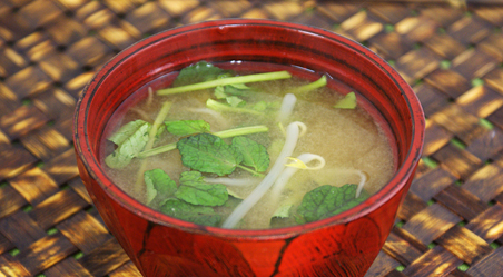 487dcc7a533731c9953a385b5baafa