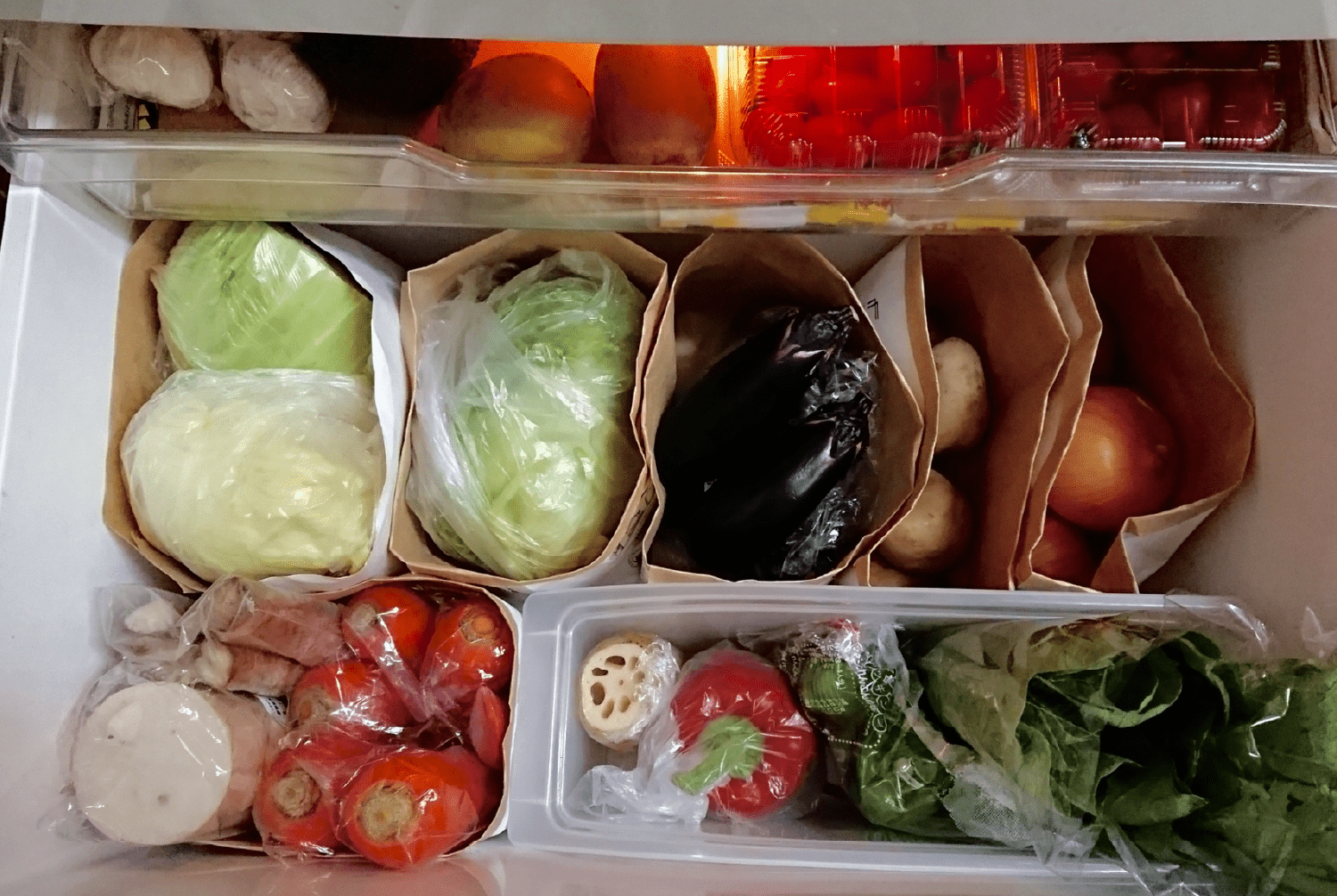 家庭内での食品ロスの現状を知ろう！