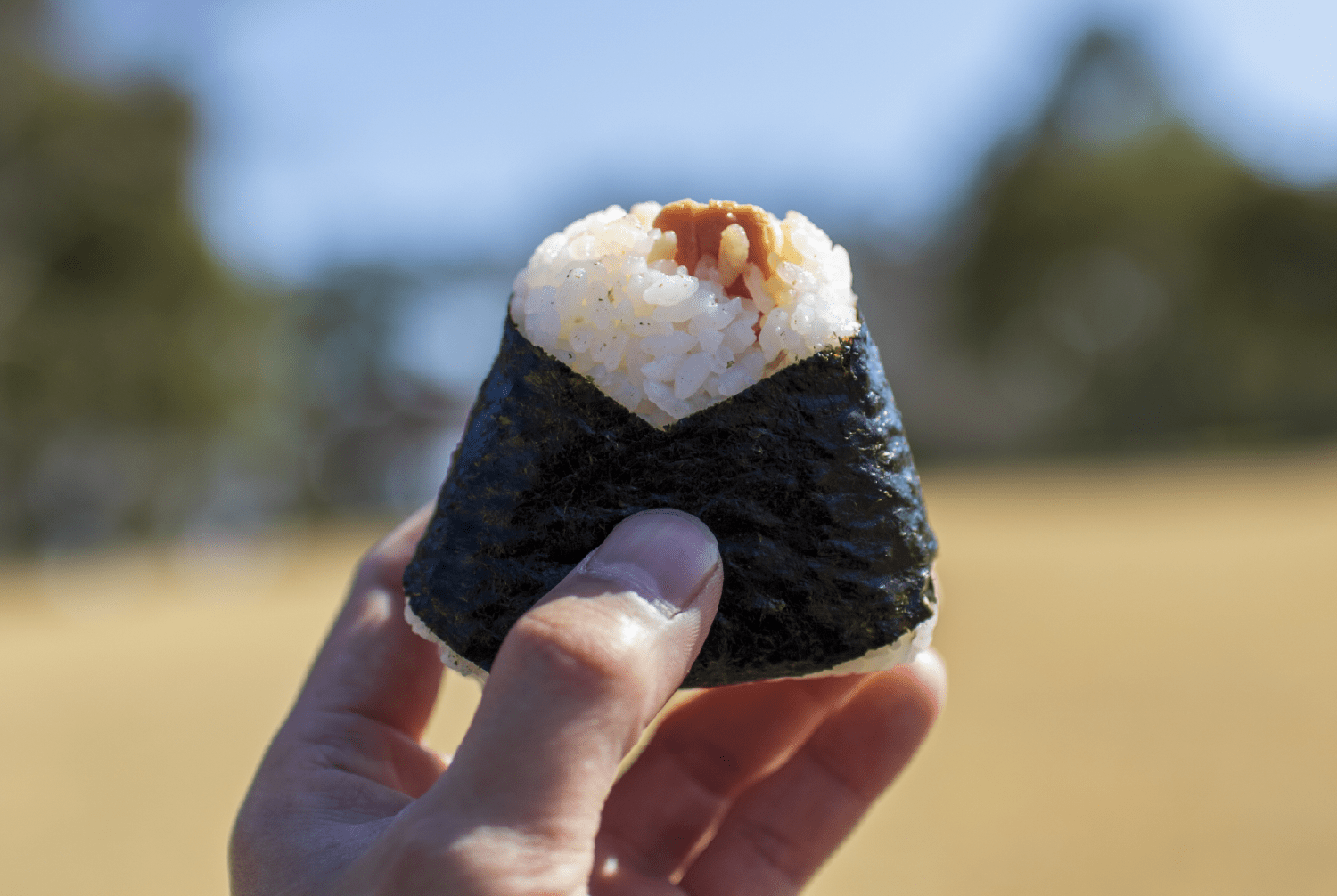 エネルギー補給にぴったりのおにぎり