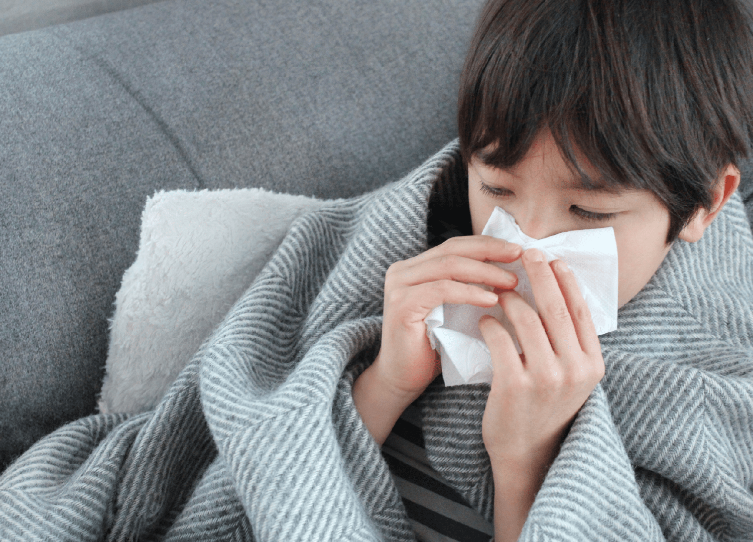 腸と免疫の関係性とは？