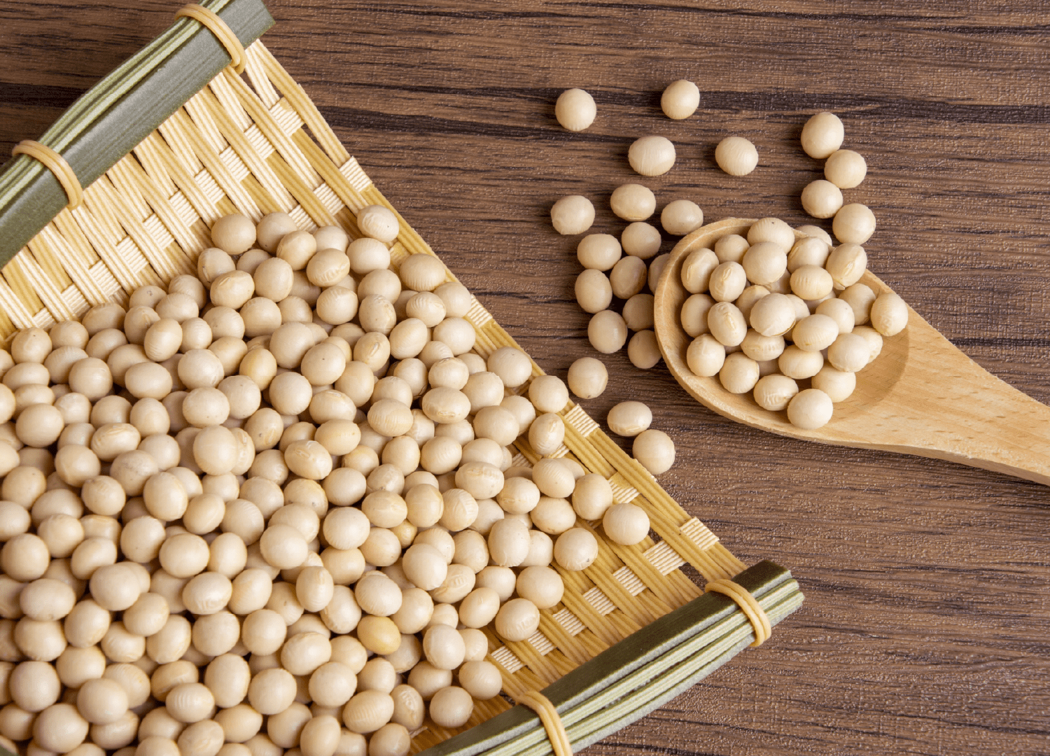 味噌などの発酵食品が、免疫力を整える理由は？