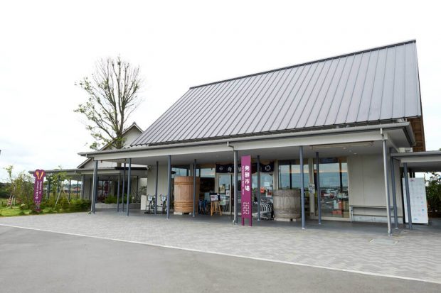 進化する道の駅「発酵の里 こうざき」で買って、味わって、もっと知りたくなる発酵の世界