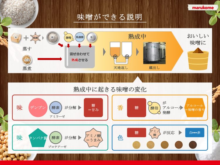 発酵と腐敗 熟成の違いって何 Webマガジン 発酵美食 マルコメ