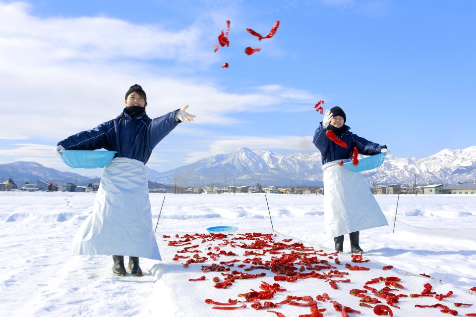 厳しい冬の寒さからうまれる 新潟・上越地方の伝統調味料「かんずり」