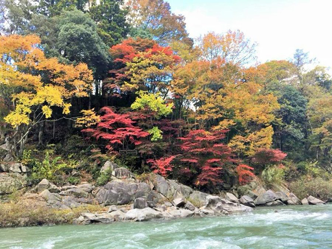 天竜川鵞流峡復活プロジェクト