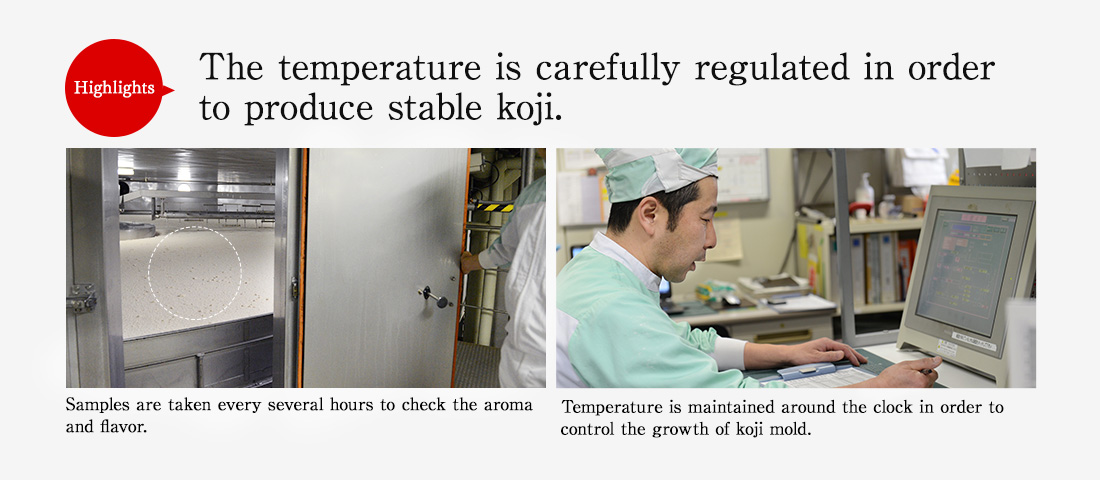 Highlights.The temperature is carefully regulated in order to produce stable koji. Samples are taken every few hours to check the aroma and flavor. Temperature is constantly regulated around the clock to control the growth of the koji mold.