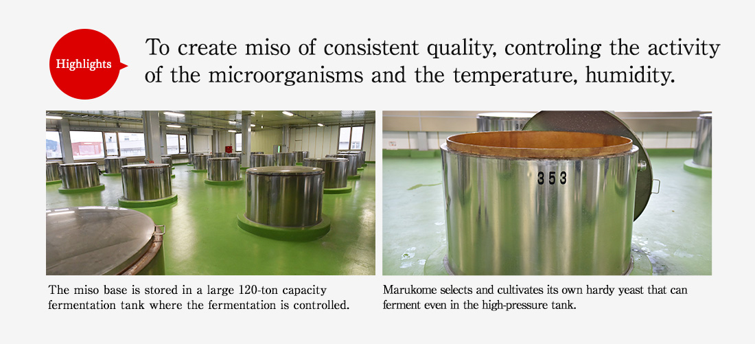 Highlights. The miso base is stored in a large 120-ton capacity fermentation tank where the fermentation is controlled. Marukome selects and cultivates its own hardy yeast that can ferment even in the high-pressure tank.