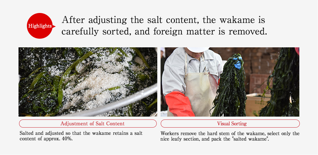 Highlights. After adjusting the salt content, the wakame is carefully sorted, and foreign matter is removed. Adjustment of Salt Content. Salted and adjusted so that the wakame retains a salt content of approx. 40%. Visual Sorting. Workers remove the hard stem of the wakame, select only the nice leafy section, and pack the salted wakame.