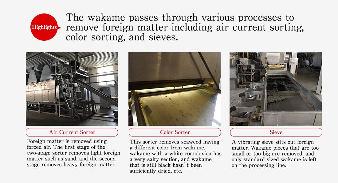 Highlights. The wakame passes through various processes to remove foreign matter including air current sorting, color sorting, and sieves. Air Current Sorter. Foreign matter is removed using forced air. The first stage of the two-stage sorter removes light foreign matter such as sand, and the second stage removes heavy foreign matter. Color Sorter. This sorter removes seaweed having a different color from wakame, wakame with a white complexion has a very salty section, and wakame that is still black hasn’t been sufficiently dried, etc. Sieve. A vibrating sieve sifts out foreign matter. Wakame pieces that are too small or too big are removed, and only standard sized wakame is left on the processing line.