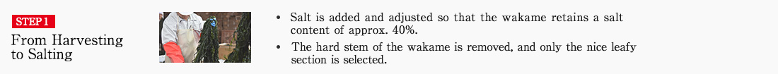 STEP1 From Harvesting to Salting. ・Salt is added and adjusted so that the wakame retains a salt content of approx. 40%.　・The hard stem of the wakame is removed, and only the nice leafy section is selected.
