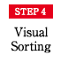 STEP4 Visual Sorting