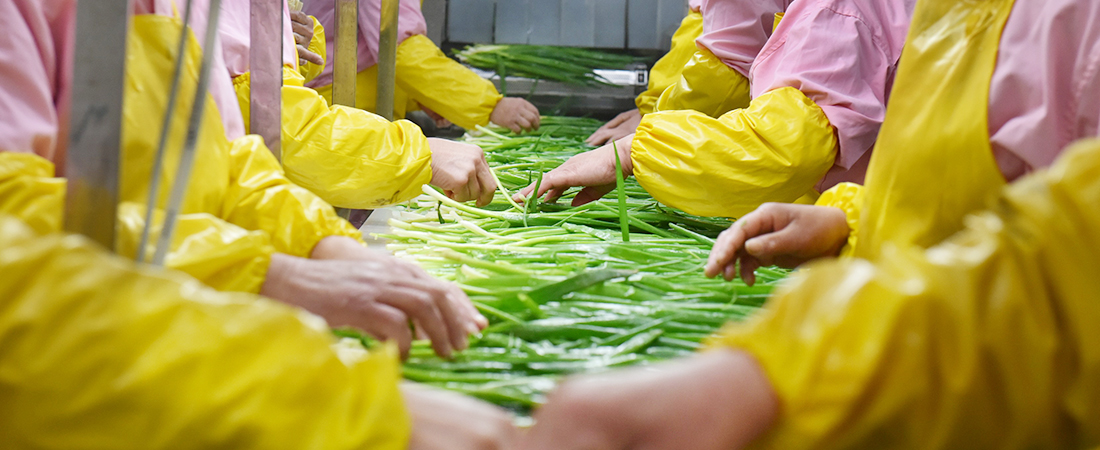 Washing and sorting the ingredients