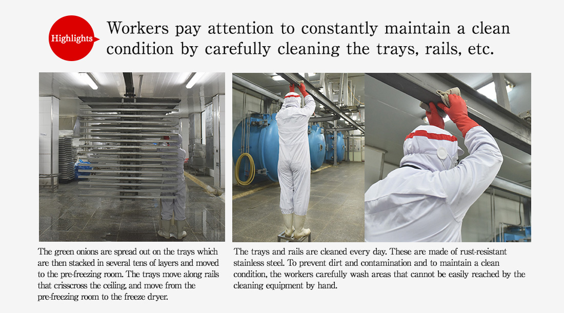 Highlights. Workers pay attention to constantly maintain a clean condition by carefully cleaning the trays, rails, etc. The green onions are spread out on the trays which are then stacked in several tens of layers and moved to the pre-freezing room. The trays move along rails that crisscross the ceiling, and move from the pre-freezing room to the freeze dryer.
The trays and rails are cleaned every day. These are made of rust-resistant stainless steel. To prevent dirt and contamination and to maintain a clean condition, the workers carefully wash areas that cannot be easily reached by the cleaning equipment by hand.