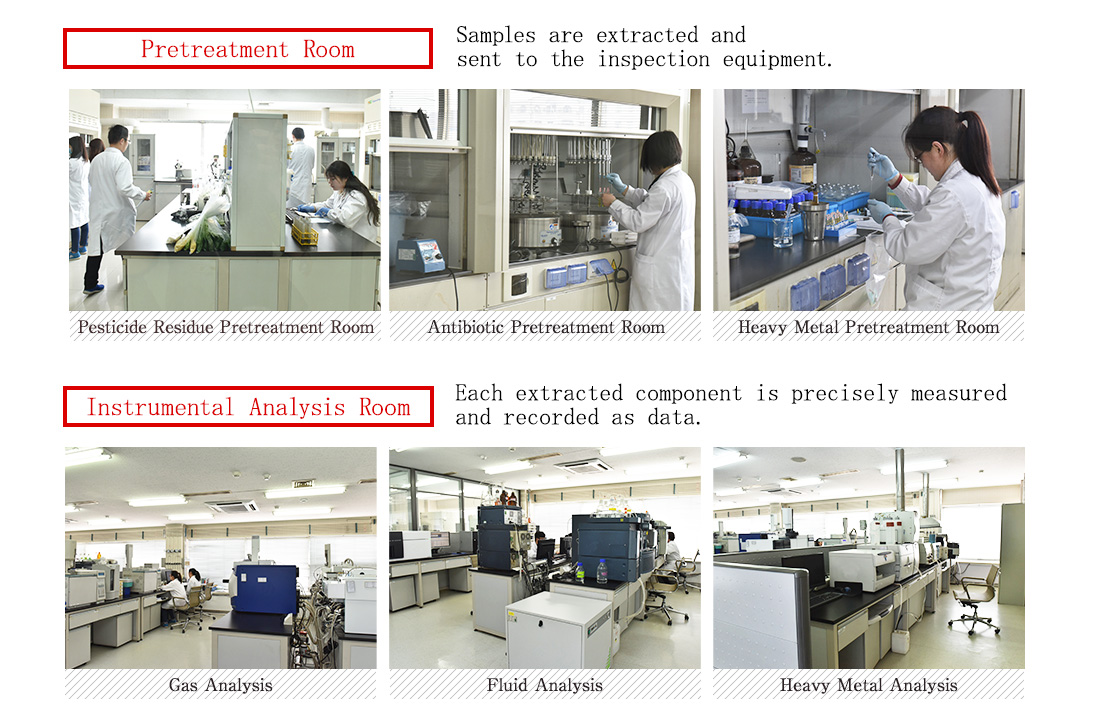 Pretreatment Room. Samples are extracted and sent to the inspection equipment.Pesticide Residue Pretreatment Room. Antibiotic Pretreatment Room, Heavy Metal Pretreatment Room, Instrumental Analysis Room. Each extracted component is precisely measured and recorded as data. Gas Analysis, Fluid Analysis, Heavy Metal Analysis.