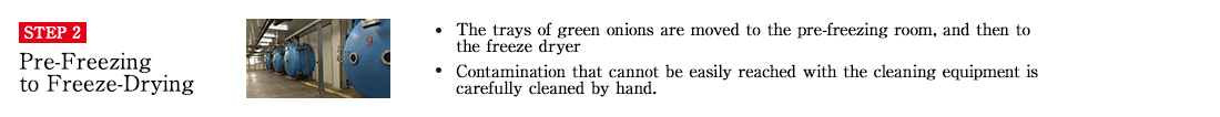 STEP2 Pre-Freezing to Freeze-Drying. ・ The trays of green onions are moved to the pre-freezing room, and then to the freeze dryer. ・Contamination that cannot be easily reached with the cleaning equipment is carefully cleaned by hand.