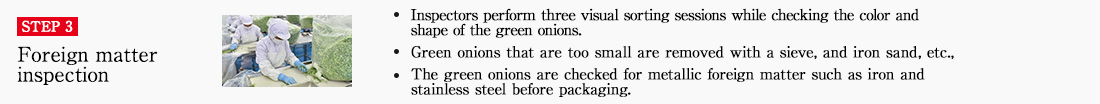 STEP3 Foreign matter inspection. ・Inspectors perform three visual sorting sessions while checking the color and shape of the green onions. ・Green onions that are too small are removed with a sieve, and iron sand, etc., is removed using a magnetic sorter. ・The green onions are checked for metallic foreign matter such as iron and stainless steel before packaging.