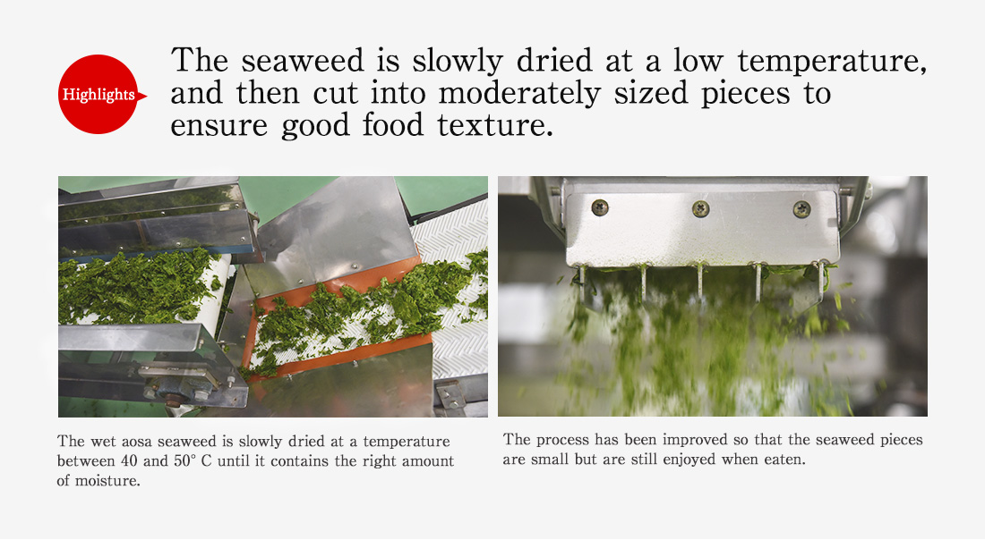 Highlights. The seaweed is slowly dried at a low temperature, and then cut into moderately sized pieces to ensure good food texture. The wet aosa seaweed is slowly dried at a temperature between 40 and 50°C until it contains the right amount of moisture. The process has been improved so that the seaweed pieces are small but are still enjoyed when eaten.