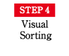 STEP4 Visual Sorting