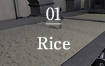 1.Rice