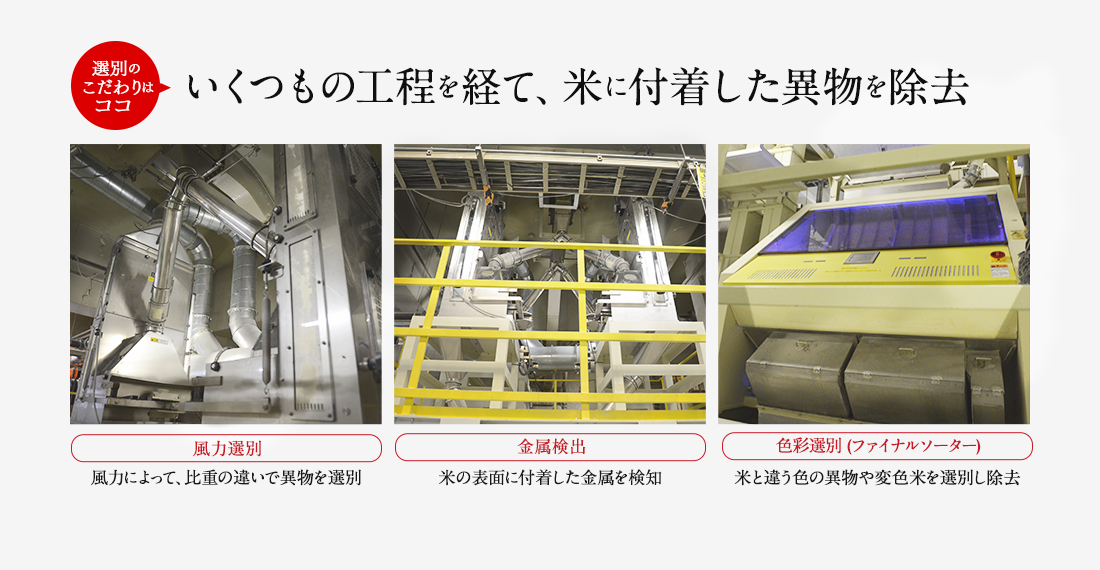 選別のこだわりはココ案内人！ いくつもの工程を経て、米に付着した異物を除去 風力選別：風力によって、比重の違いで異物を選別 金属検出：米の表面に付着した金属を検知 色彩選別：米と違う色の異物や変色米を選別し除去