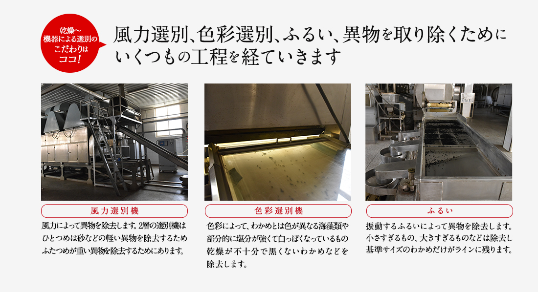 乾燥〜機器による選別のこだわりはココ! 風力選別、色彩選別、ふるい、異物を取り除くためにいくつもの工程を経ていきます