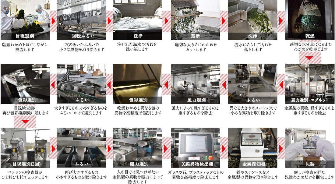 わかめ製造工程をCHECK