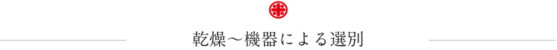 乾燥〜機器による選別