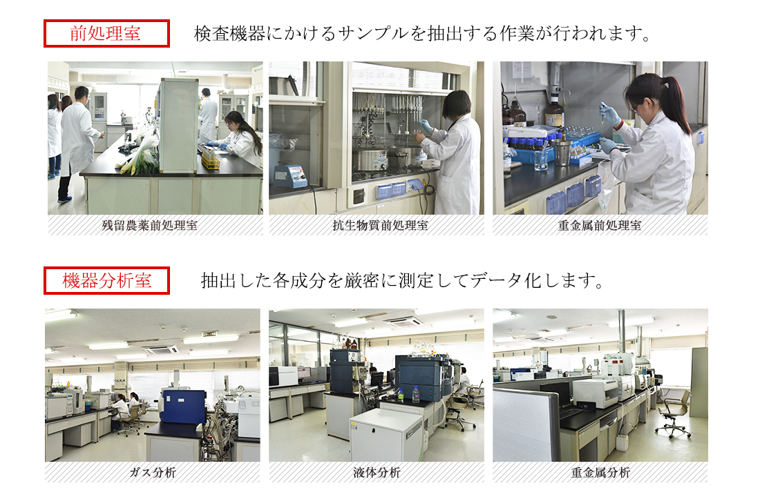 前処理室 検査機器にかけるサンプルを抽出する作業が行われます。 機器分析室 抽出した各成分を厳密に測定してデータ化します。