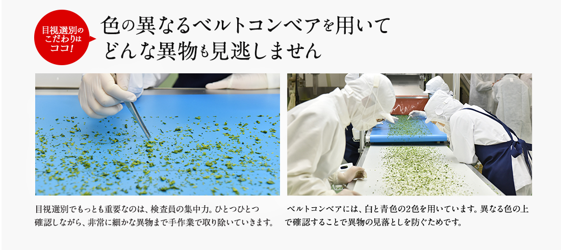 目視選別のこだわりはココ！色の異なるベルトコンベアを用いてどんな異物も見逃しません。