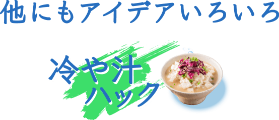 他にもいろいろアイデアいろいろ冷や汁ハック