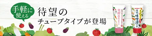 待望のチューブタイプが登場