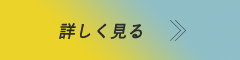 詳しく見る