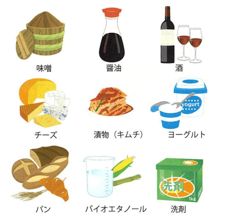 図6. 私たちの生活に密着した微生物を利用したもの