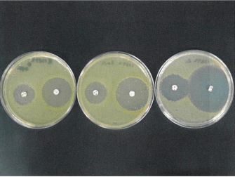 図7. 抗生物質による細菌の生育阻害