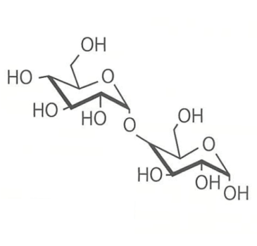 図12b.基質（マルトース）