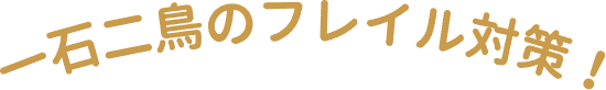 一石二鳥のフレイル対策！