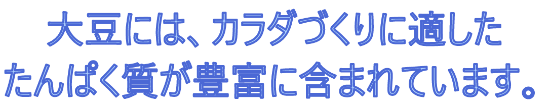 大豆には、カラダづくりに適したたんぱく質が豊富に含まれています。