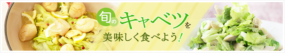 旬のキャベツをおいしく食べよう！特集