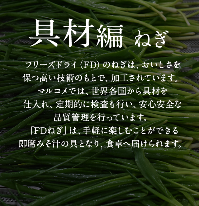 具材編 ねぎ｜マルコメ品質－伝統を未来へつなぐ志－｜マルコメ