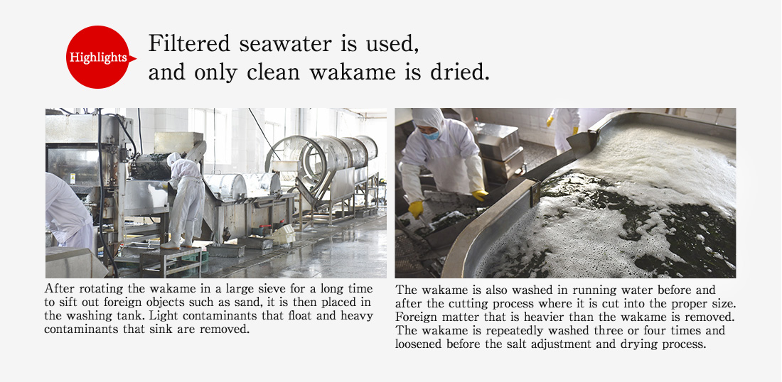 Highlights. Filtered seawater is used, and only clean wakame is dried. After rotating the wakame in a large sieve for a long time to sift out foreign objects such as sand, it is then placed in the washing tank. Light contaminants that float and heavy contaminants that sink are removed. The wakame is also washed in running water before and after the cutting process where it is cut into the proper size. Foreign matter that is heavier than the wakame is removed. The wakame is repeatedly washed three or four times and loosened before the salt adjustment and drying process.