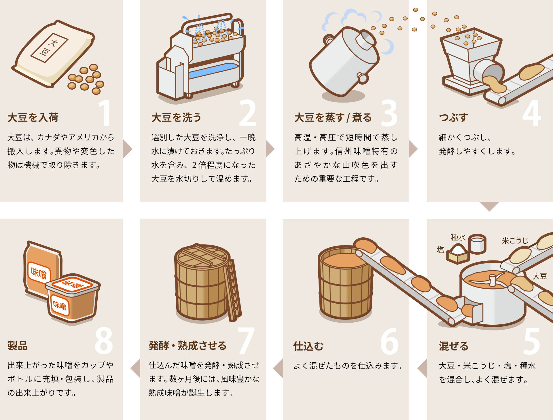 味噌ができるまで　米味噌の場合