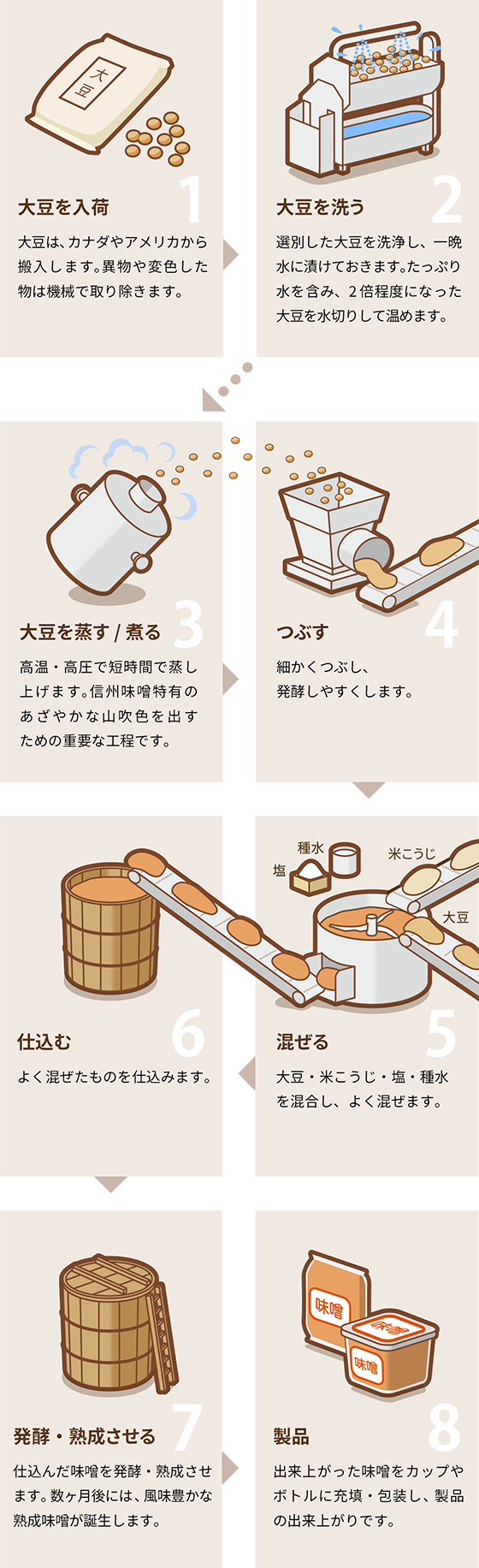 味噌ができるまで　米味噌の場合